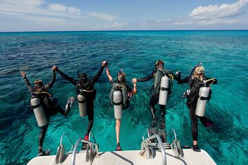 tiran-island-snorkeling-diving-with-lunch-sharm-el-sheikh tour image 3