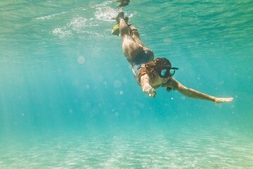 tiran-island-snorkeling-diving-with-lunch-sharm-el-sheikh tour image 4