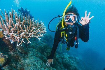 tiran-island-snorkeling-diving-with-lunch-sharm-el-sheikh tour image 5