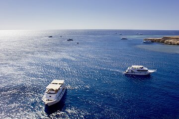 sharm-el-sheikh-white-island-and-ras-mohamed-cruise-adventure tour image 2