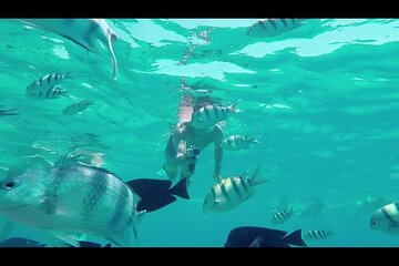 snorkeling-excursion-in-semi-submarine-with-transfer-makadi-bay tour image 3
