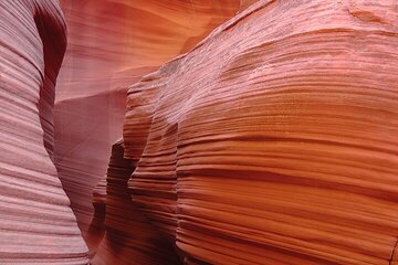 blue-hole-tour-dahab-canyon-and-camel-ride tour image 1