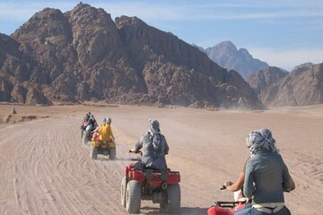 quad-biking-safari-camel-ride-bedouin-dinner-and-shows-from-sharm tour image 2