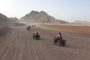 quad-biking-safari-camel-ride-bedouin-dinner-and-shows-from-sharm tour image 4