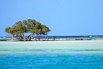 hamata-qulaan-islands-snorkeling-trip-with-lunch-marsa-alam tour image 1
