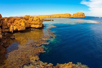 sharm-el-sheikh-white-island-ras-mohammed-adventure tour image 1