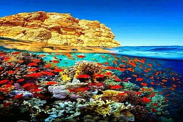 sharm-el-sheikh-white-island-ras-mohammed-adventure tour image 2