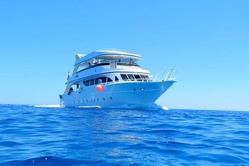 dolphin-house-boat-trip-with-snorkeling-lunch-from-hurghada tour image 1
