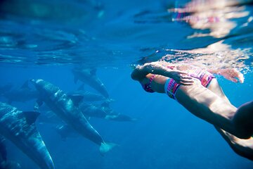 dolphin-house-boat-trip-with-snorkeling-lunch-from-hurghada tour image 3