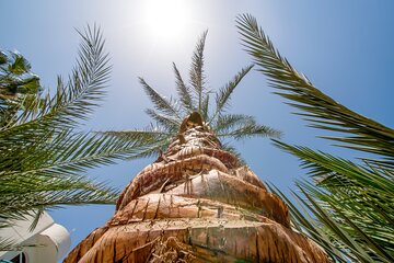 hurghada-guided-city-highlights-tour-with-shopping-stops tour image 4