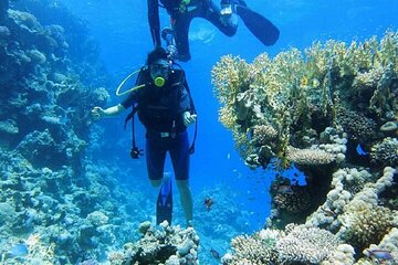 Discover Diving Beginner's Tour with Lunch – Sharm El Sheikh