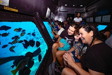 2 Hours Semi-Submarine Snorkeling Sea Trip & Transfer-Hurghada