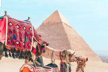 Cairo By Bus Full Day ,Pyramids, Museum, Lunch, Sharm Elsheikh - Gallery Image 5