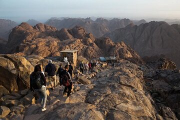 Sharm El Sheikh : St Catherine Monastery - Gallery Image 5