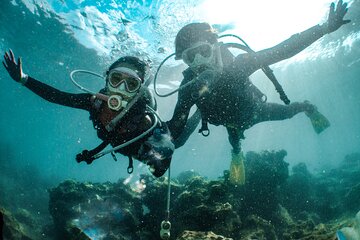 Scuba Diving Experience for Beginners & Lunch - Sharm El Sheikh - Gallery Image 4