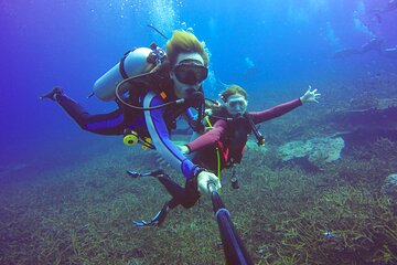 Scuba Diving Experience for Beginners & Lunch - Sharm El Sheikh - Gallery Image 5