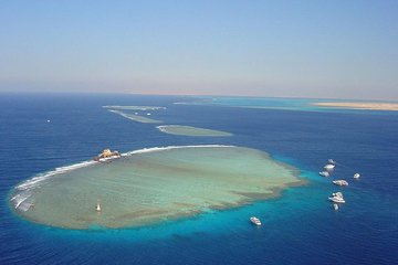 Sorkeling Trip to the White Island & Ras Mohammed - Gallery Image 4
