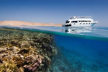 Ras Mohamed, White Island Trip, Two Stops Diving -Sharm El Sheikh - Gallery Image 1