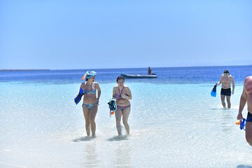 Marsa Mubarak Turtle House Snorkeling Trip & Lunch - Marsa Alam - Gallery Image 5