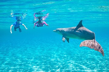 Dolphin House by Private Speedboat to Magawish Island - Hurghada - Gallery Image 5
