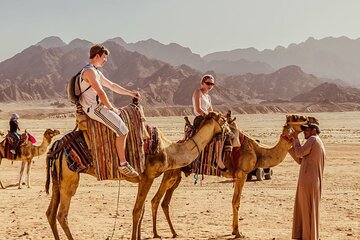 Desert Safari with BBQ dinner in Hurghada - Gallery Image 2