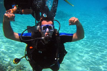 Intro Diving and Snorkeling day Trip - Gallery Image 5