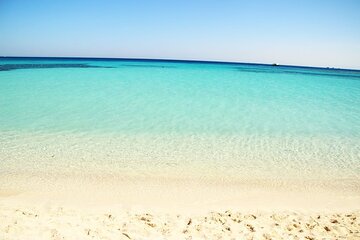 Excursion to the White Island & Ras Mohammed National Park from Sharm El Sheikh - Gallery Image 4