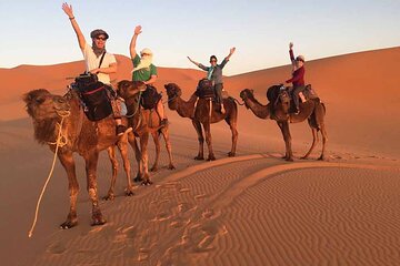 Dinner Party Super Safari Jeep, Quad & Camel Ride at Marsa Alam - Gallery Image 4