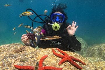 White Island & Ras Mohamed Full day with Lunch in Sharm El Sheikh - Gallery Image 1