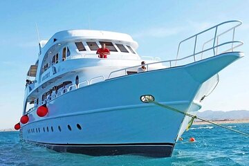 Discover Marsa Mubarak Snorkeling & Turtle House Trip- El Quseir - Gallery Image 1