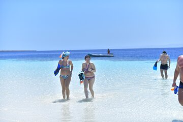 Discover Marsa Mubarak Snorkeling & Turtle House Trip- El Quseir - Gallery Image 5
