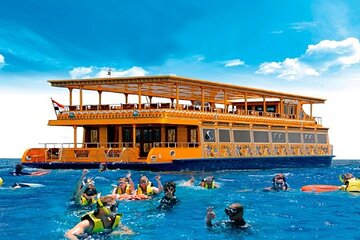 Nefertari Seascope Adventure boat Trip with transfer - Marsa Alam - Gallery Image 5
