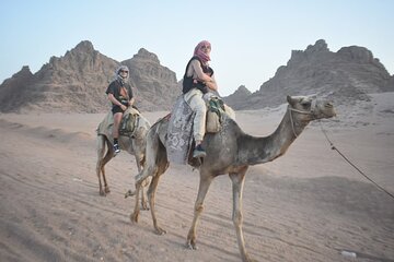 From Sharm Classic Stargazing Trip BBQ Dinner,show,camel transfer - Gallery Image 4