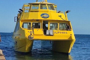 7 Hour Red Sea Getaway Snorkeling and Paradise Island Tour - Gallery Image 4