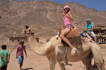 Safari by ATV Quad Bike and Camel Ride With Transfer - Hurghada - Gallery Image 5
