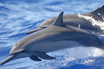 Hamata & Qulaan Islands Snorkeling Sea Trip With Lunch and Transfer - Marsa Alam - Gallery Image 1