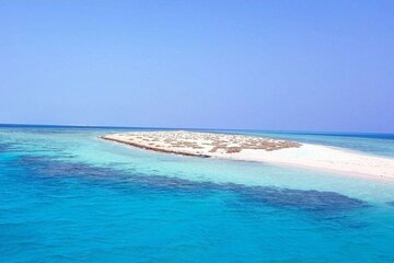 Snorkeling Adventure at Hamata National Park : Marsa Alam - Gallery Image 4