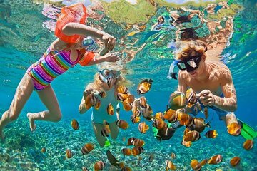 Full Day Snorkeling & Lunch on Tiran Island with Transfer Sharm - Gallery Image 3