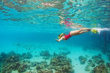 Hurghada Orange Bay Snorkeling Full Day Boat Trip With Lunch - Gallery Image 3