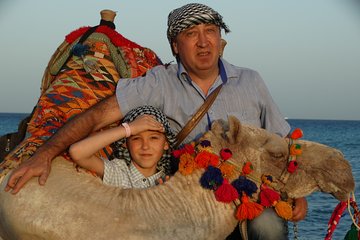 One hour Camel Ride At Amazing Desert With Transfer - Sharm El Sheikh - Gallery Image 5