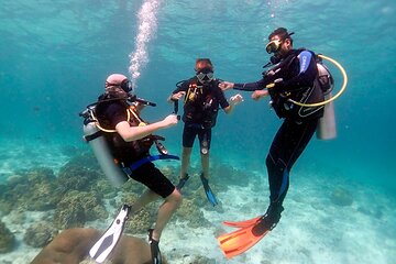 2 Dives a Comfy Boat for Certified Divers of Hurghada With Lunch - Gallery Image 4