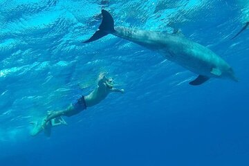 Hurghada: Orange island Snorkeling Trip with Lunch - Gallery Image 4