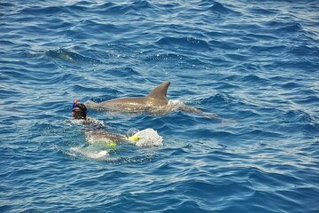Hurghada: Orange island Snorkeling Trip with Lunch - Gallery Image 5