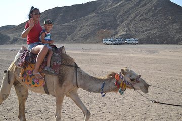 ATV Quad Safari and Camel Ride With Transfer - Marsa Alam - Gallery Image 1