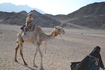 ATV Quad Safari and Camel Ride With Transfer - Marsa Alam - Gallery Image 4