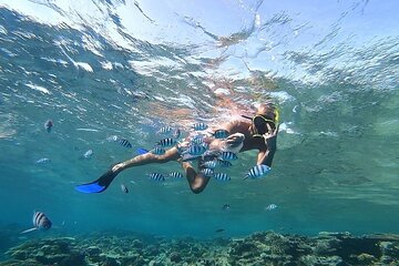 Orange Bay Island, Snorkeling, Water sports and Lunch - Gallery Image 1