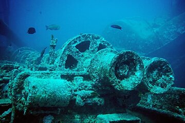 Full Day Snorkeling & Diving in Ras Mohammed National Park- sharm - Gallery Image 3