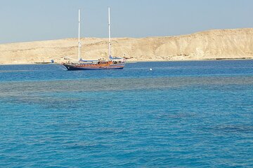 Tiran Island Full Day Snorkeling Sea trip, Lunch With Transfer - Sharm El Sheikh - Gallery Image 2