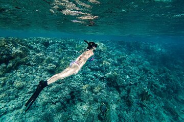 Tiran Island Full Day Snorkeling Sea trip, Lunch With Transfer - Sharm El Sheikh - Gallery Image 4
