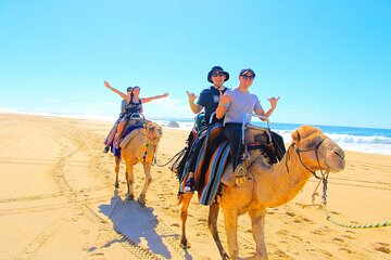 3 Hours Camel Riding Desert and Beach with transfer in Marsa Alam - Gallery Image 4
